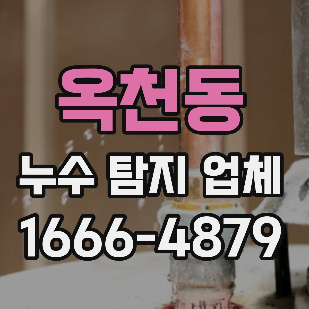 옥천동 누수 탐지 업체