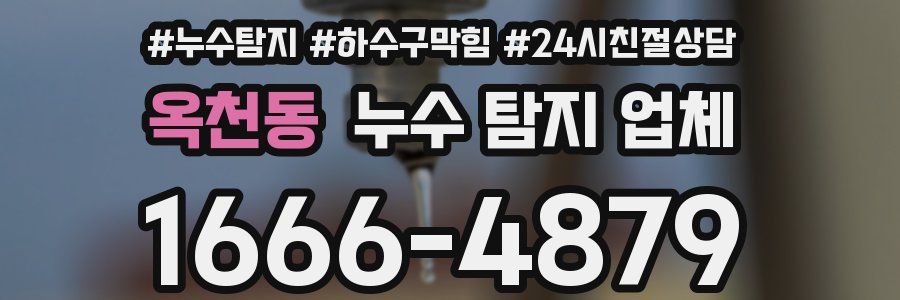 옥천동 누수 탐지 업체