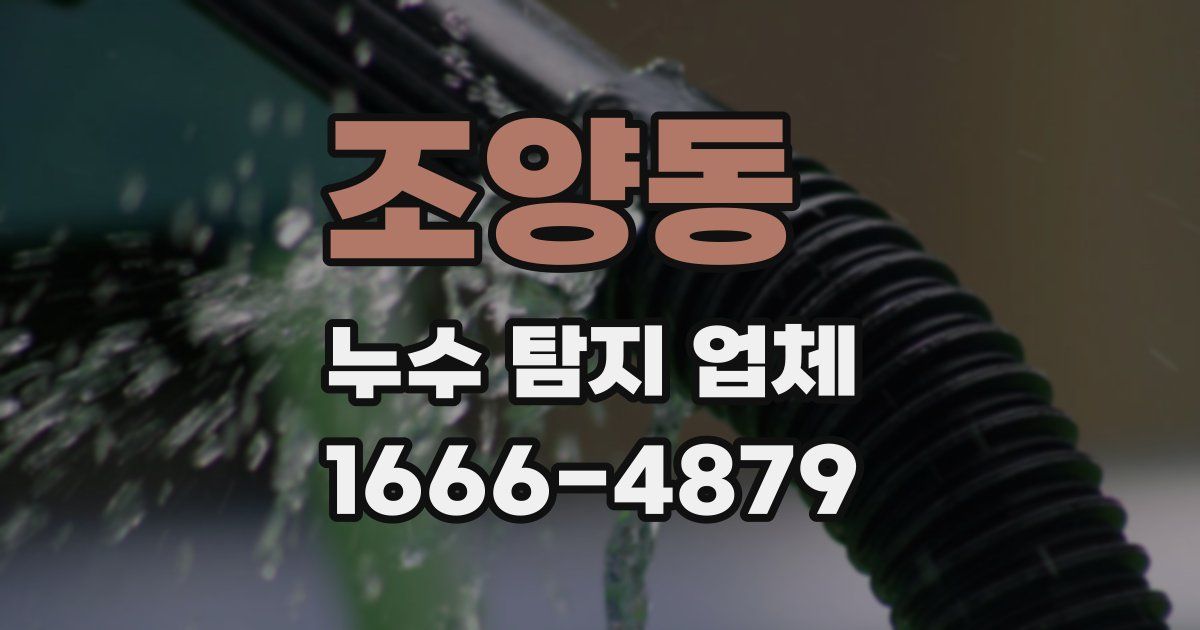 조양동 누수 탐지 업체