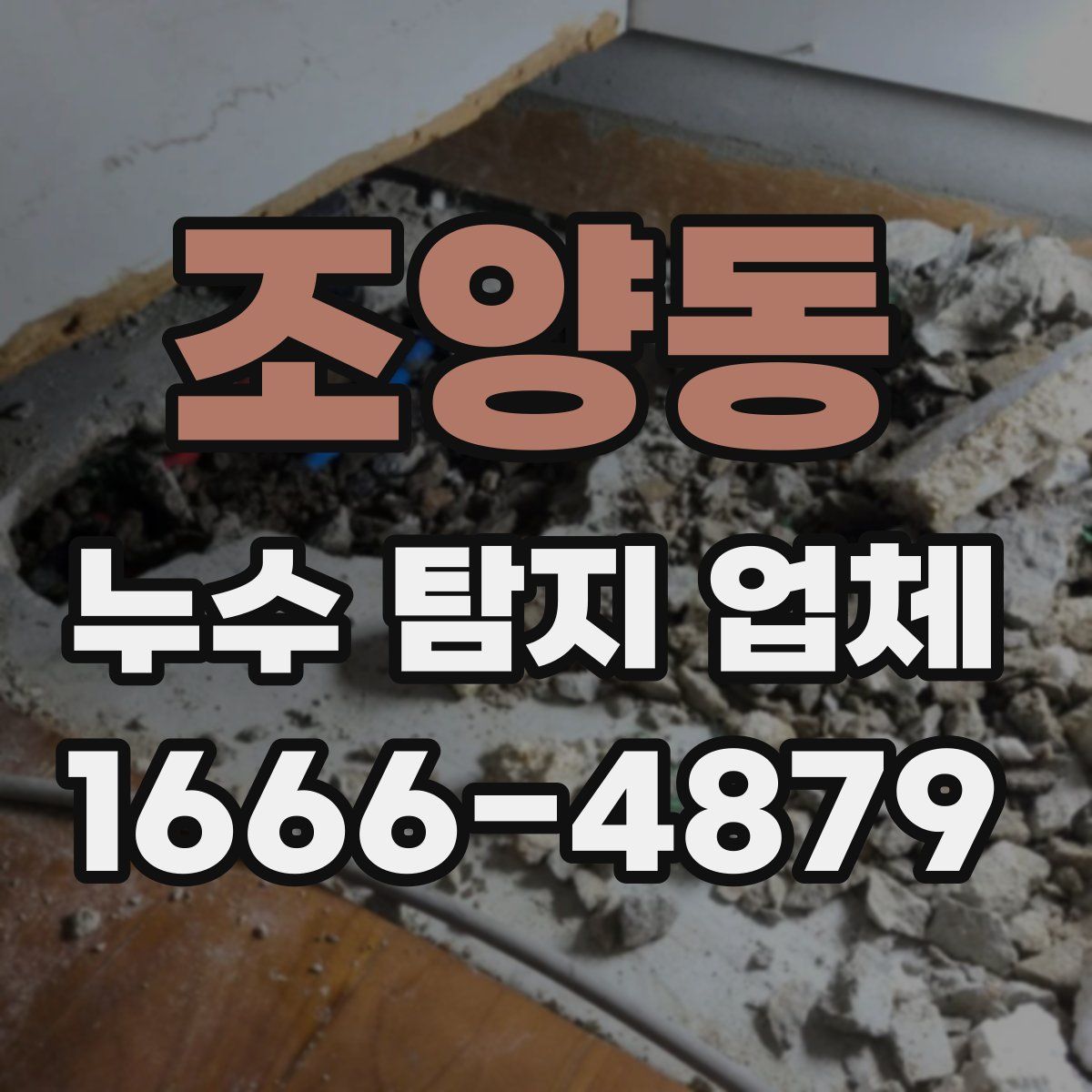조양동 누수 탐지 업체