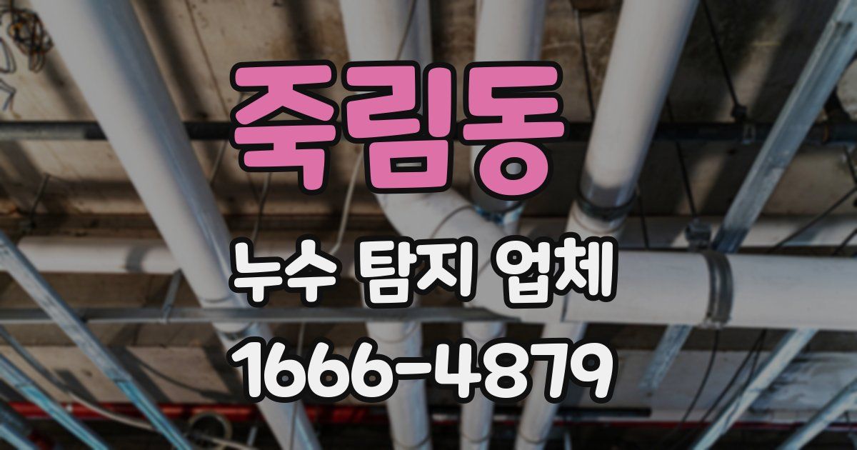 죽림동 누수 탐지 업체
