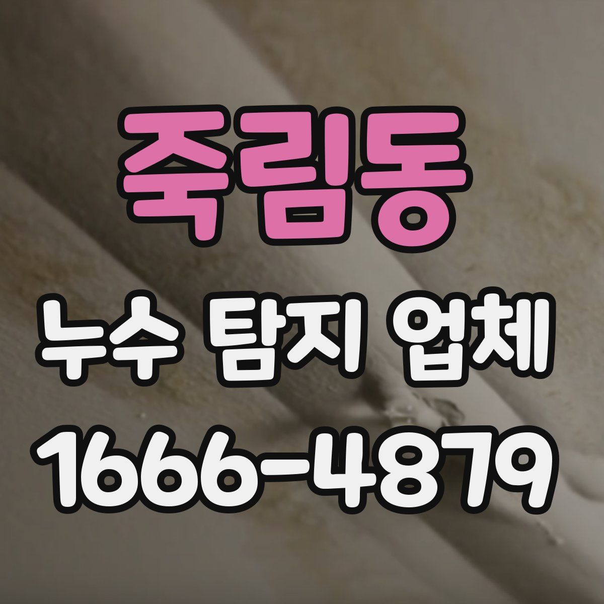 죽림동 누수 탐지 업체
