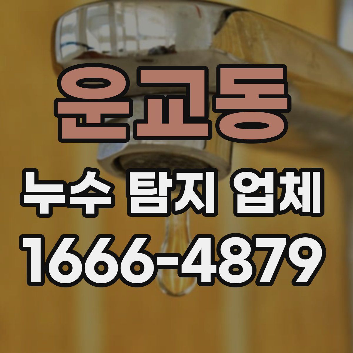 운교동 누수 탐지 업체
