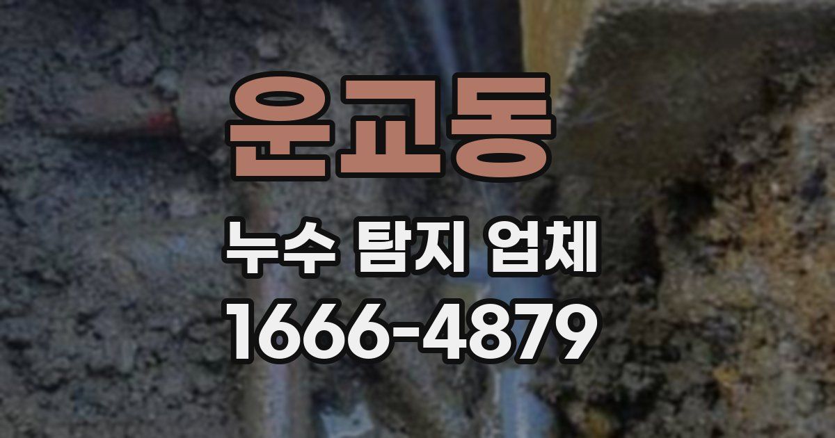 운교동 누수 탐지 업체