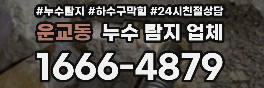 운교동 누수 탐지 업체