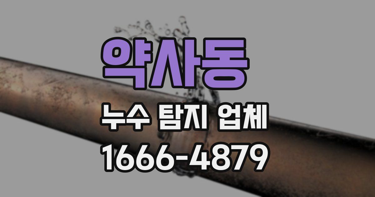 약사동 누수 탐지 업체