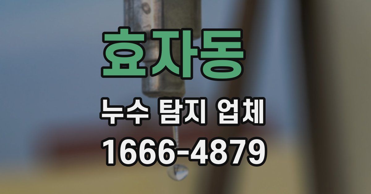 효자동 누수 탐지 업체