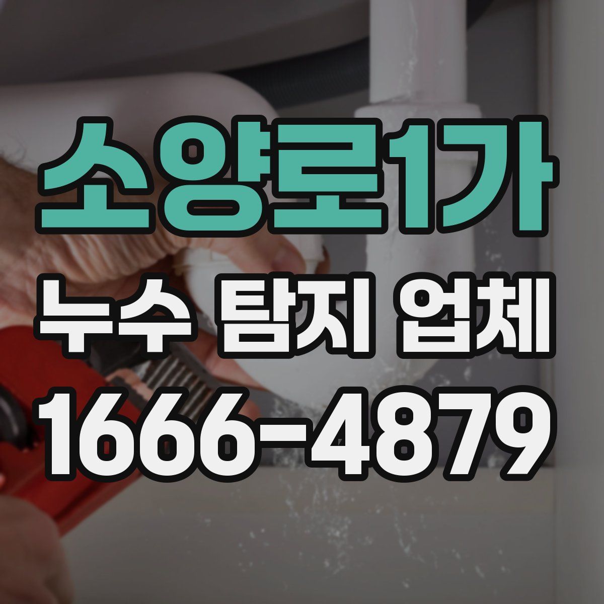 소양로1가 누수 탐지 업체