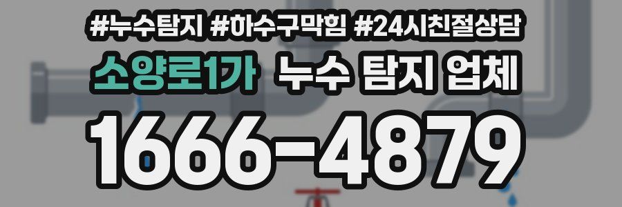소양로1가 누수 탐지 업체