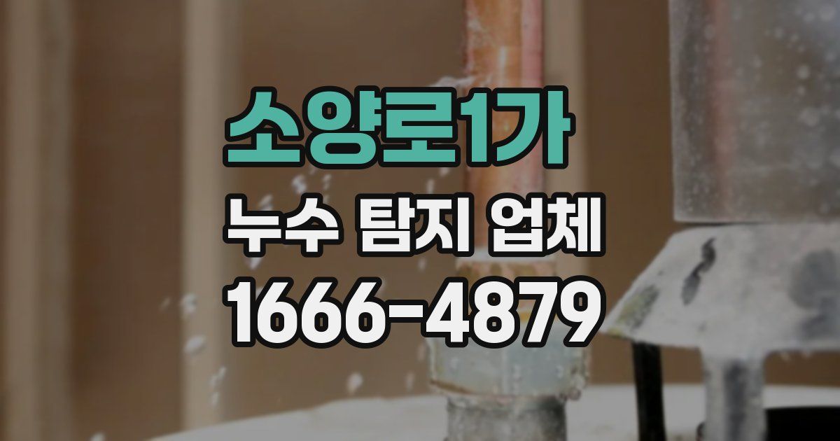 소양로1가 누수 탐지 업체