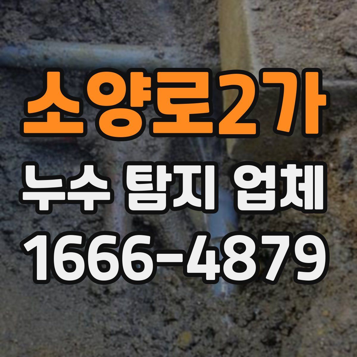 소양로2가 누수 탐지 업체