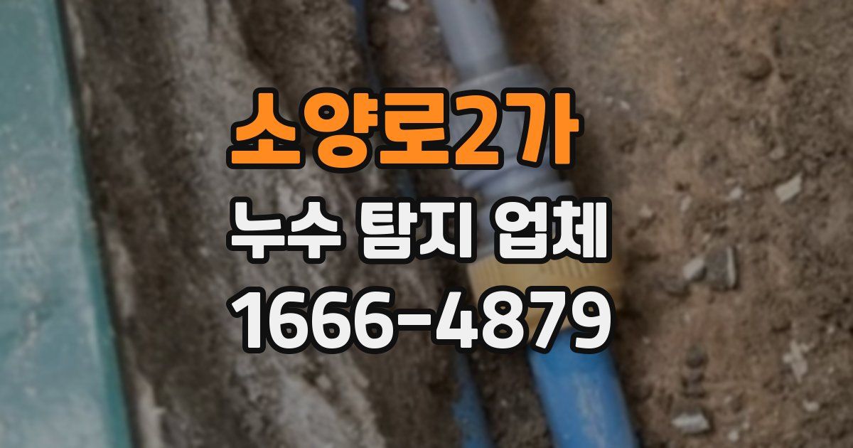소양로2가 누수 탐지 업체