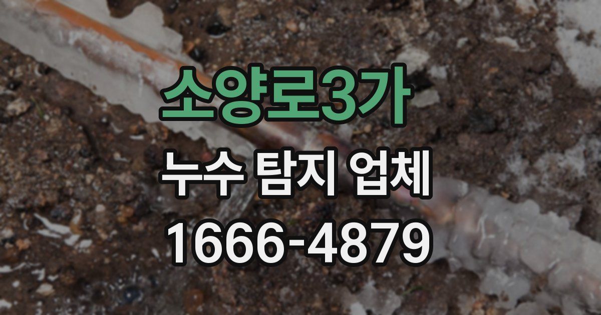 소양로3가 누수 탐지 업체