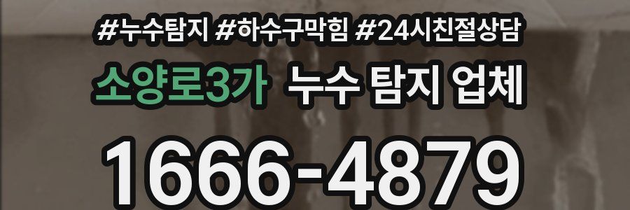 소양로3가 누수 탐지 업체