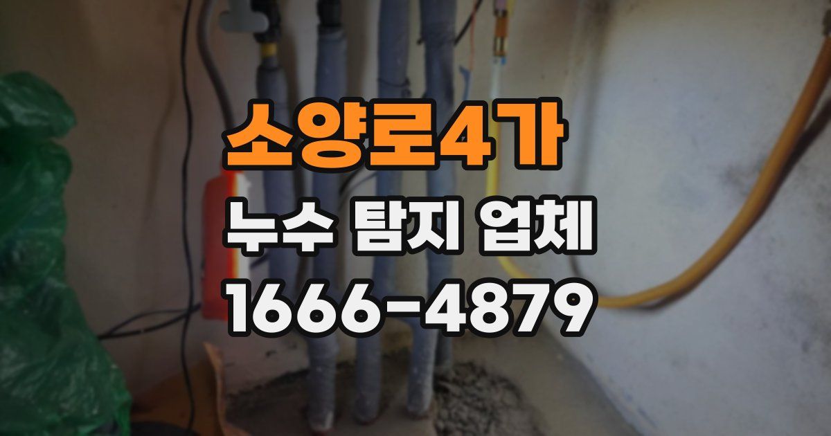 소양로4가 누수 탐지 업체