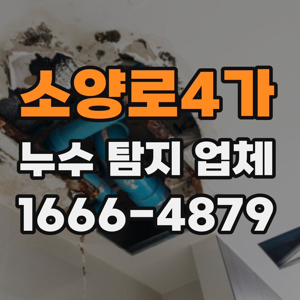 소양로4가 누수 탐지 업체