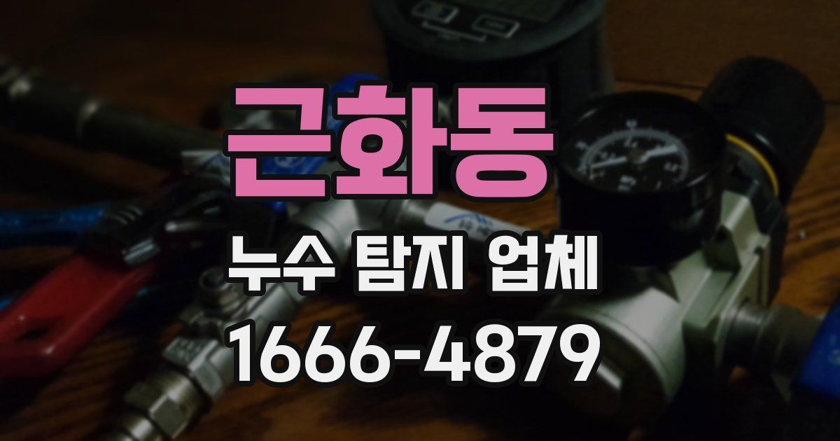 근화동 누수 탐지 업체