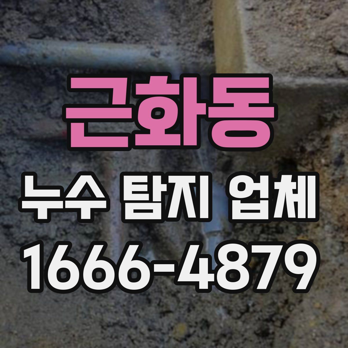 근화동 누수 탐지 업체