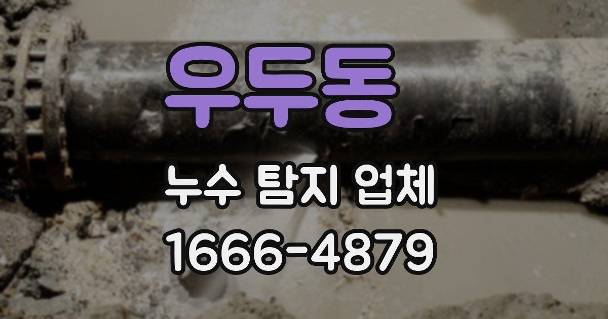우두동 누수 탐지 업체