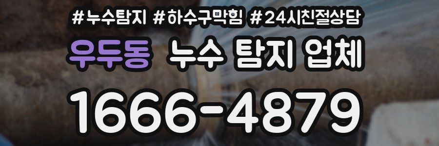 우두동 누수 탐지 업체