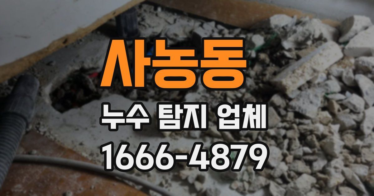 사농동 누수 탐지 업체