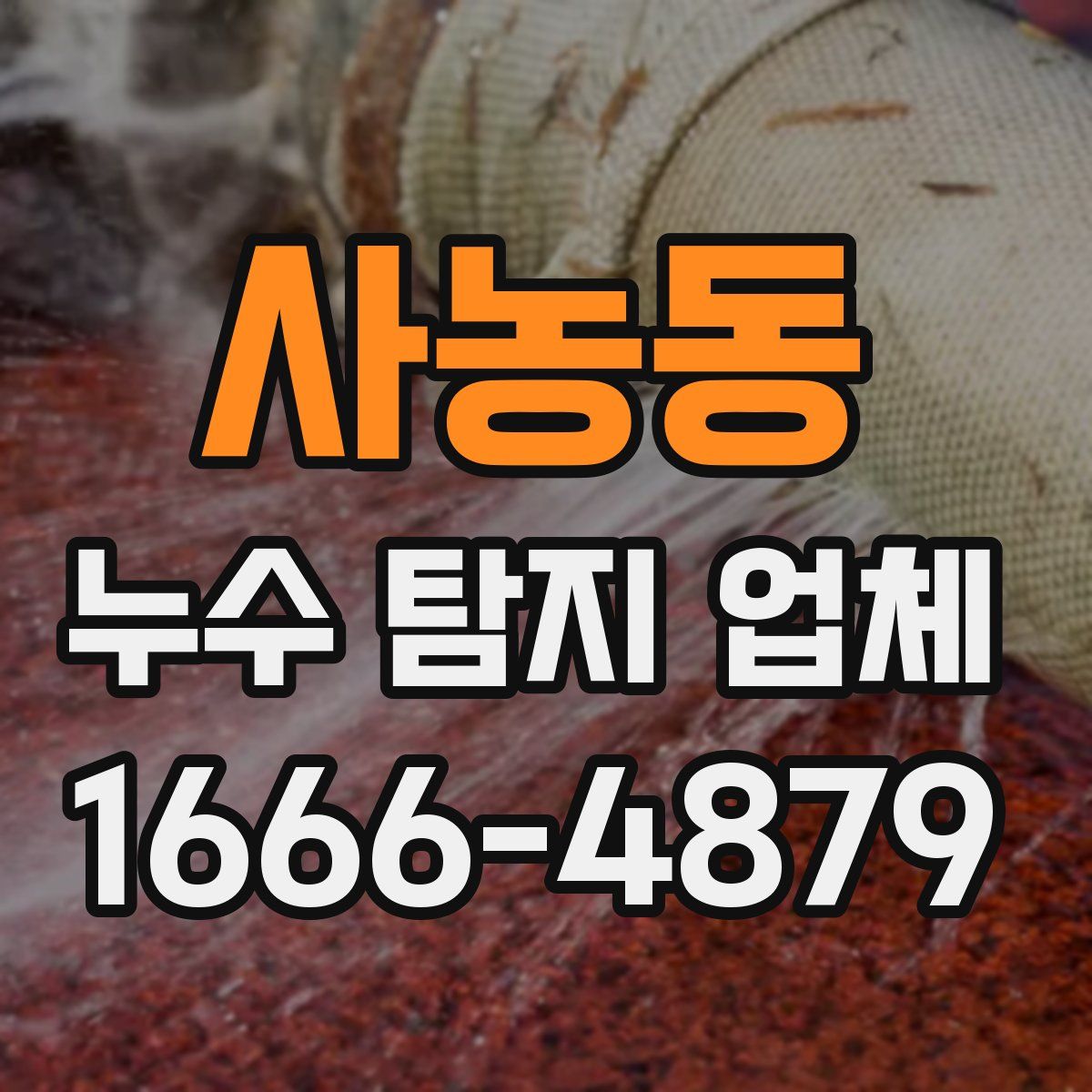 사농동 누수 탐지 업체