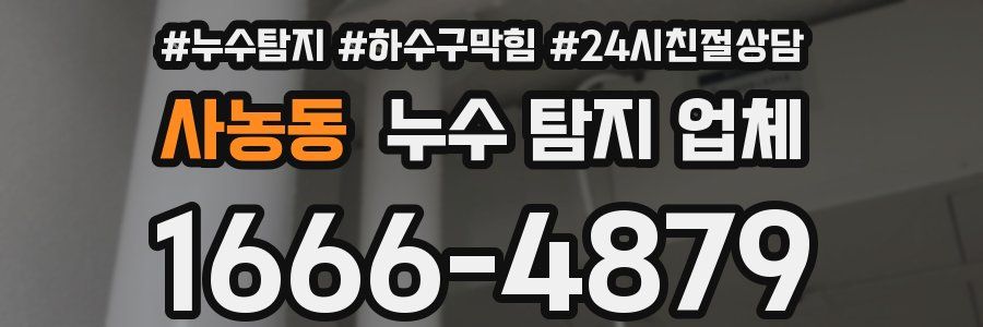 사농동 누수 탐지 업체