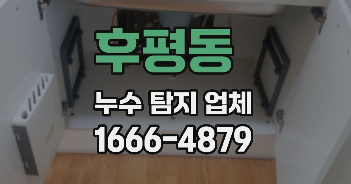 후평동 누수 탐지 업체