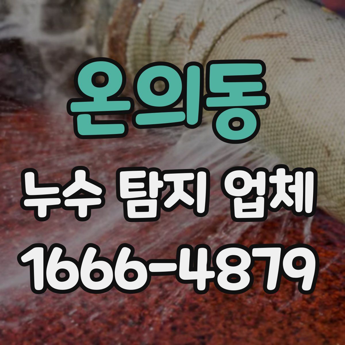 온의동 누수 탐지 업체