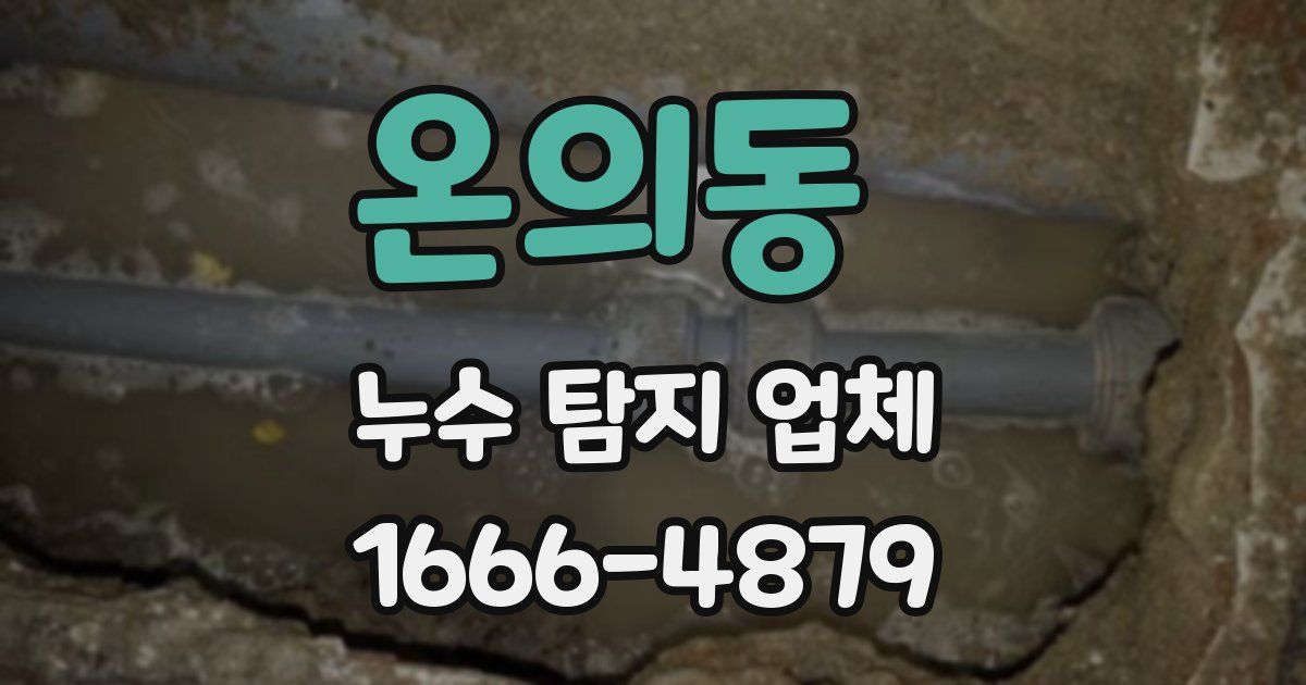 온의동 누수 탐지 업체