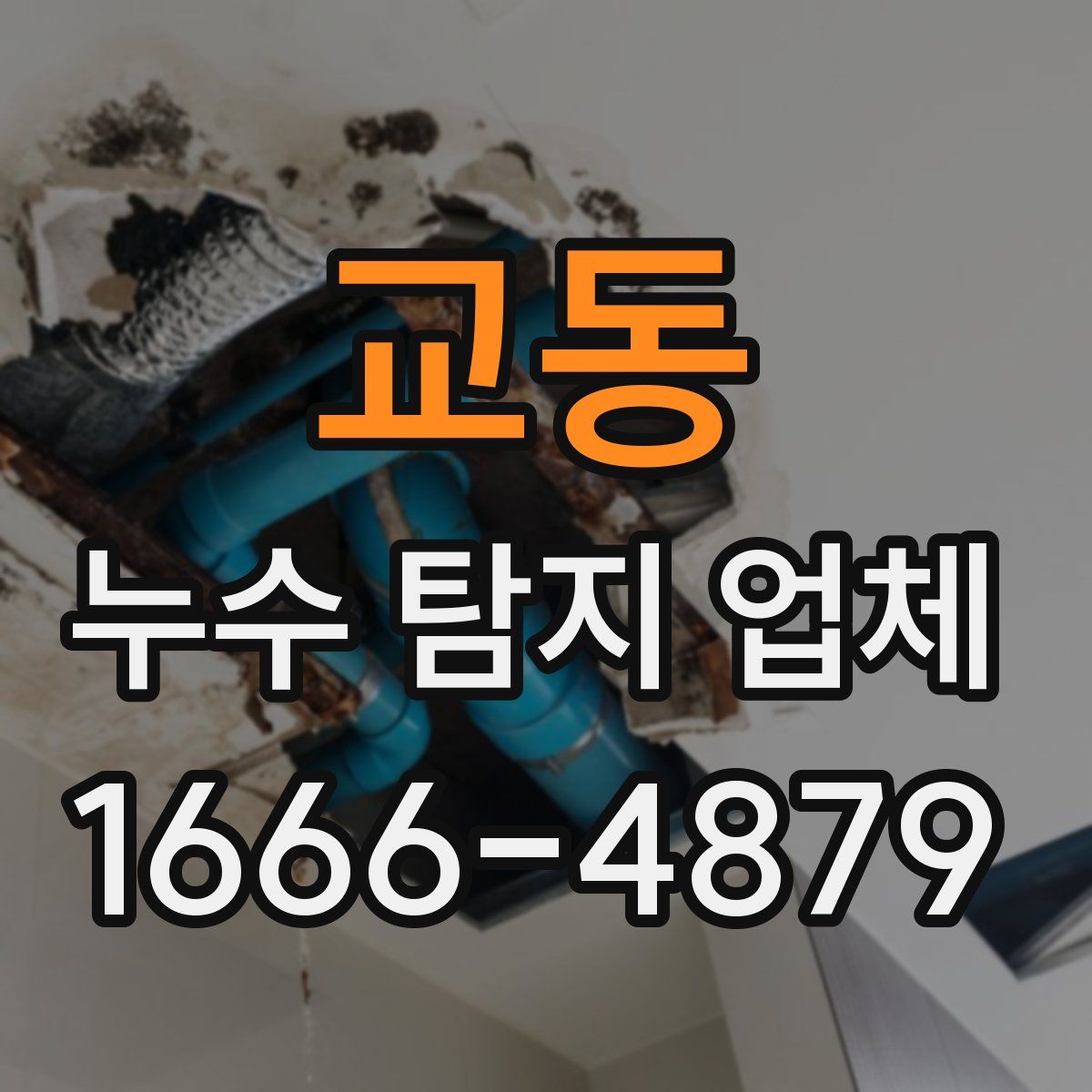 교동 누수 탐지 업체