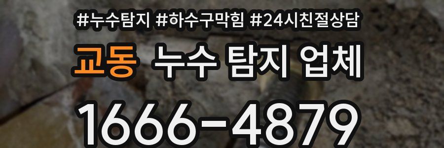 교동 누수 탐지 업체