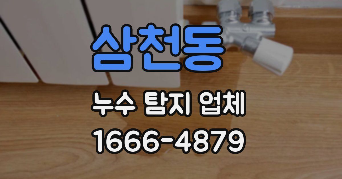 삼천동 누수 탐지 업체