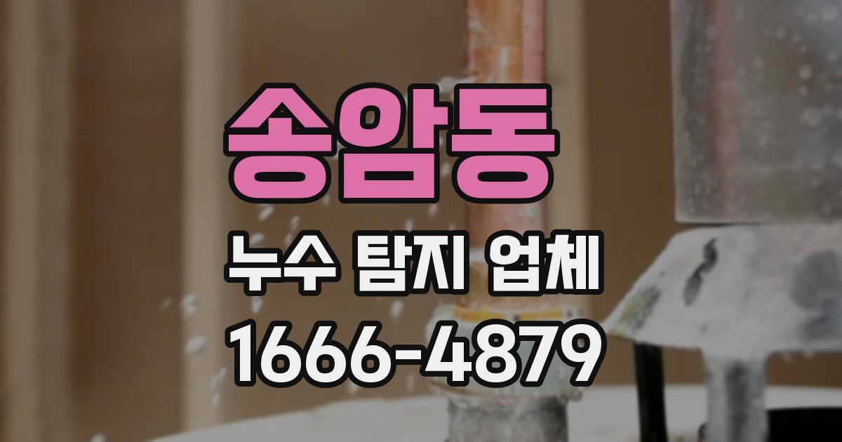 송암동 누수 탐지 업체