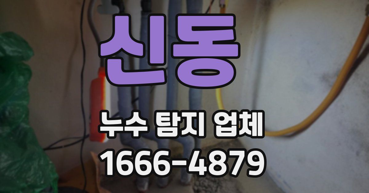 신동 누수 탐지 업체
