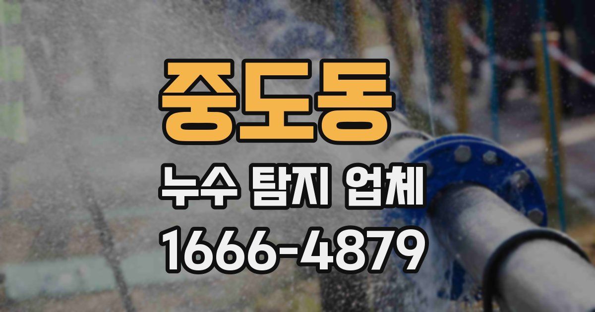중도동 누수 탐지 업체