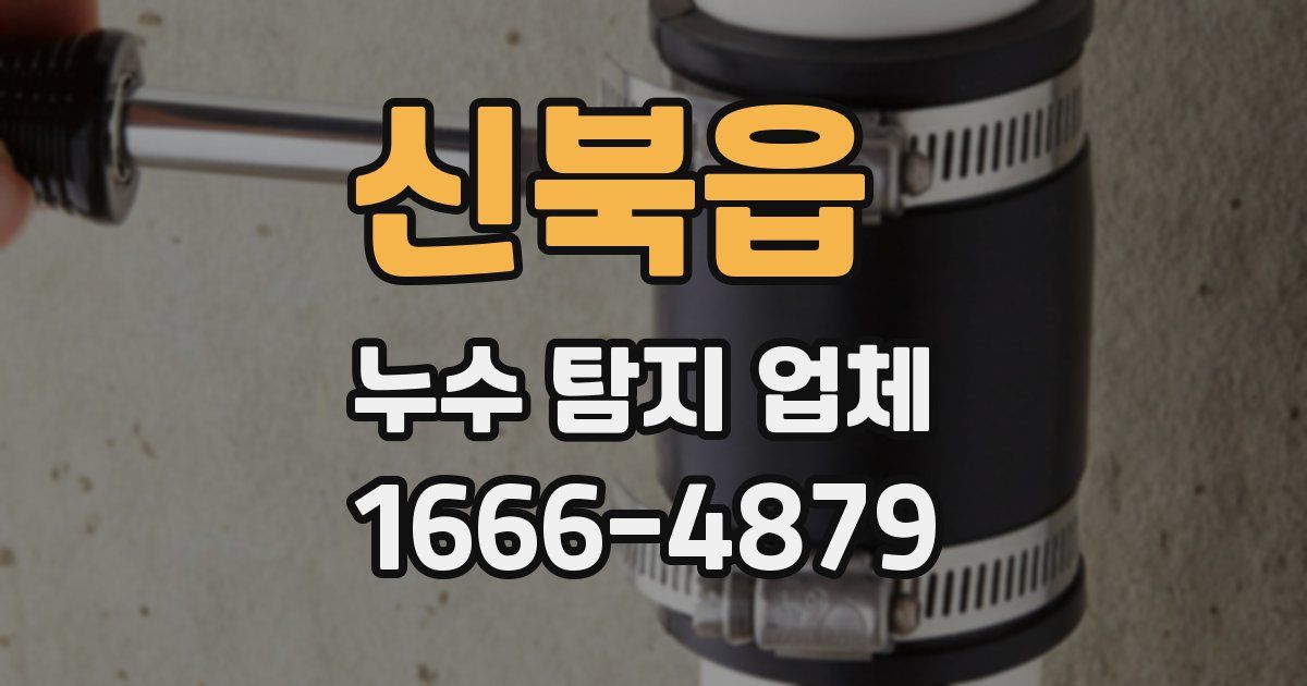 신북읍 누수 탐지 업체