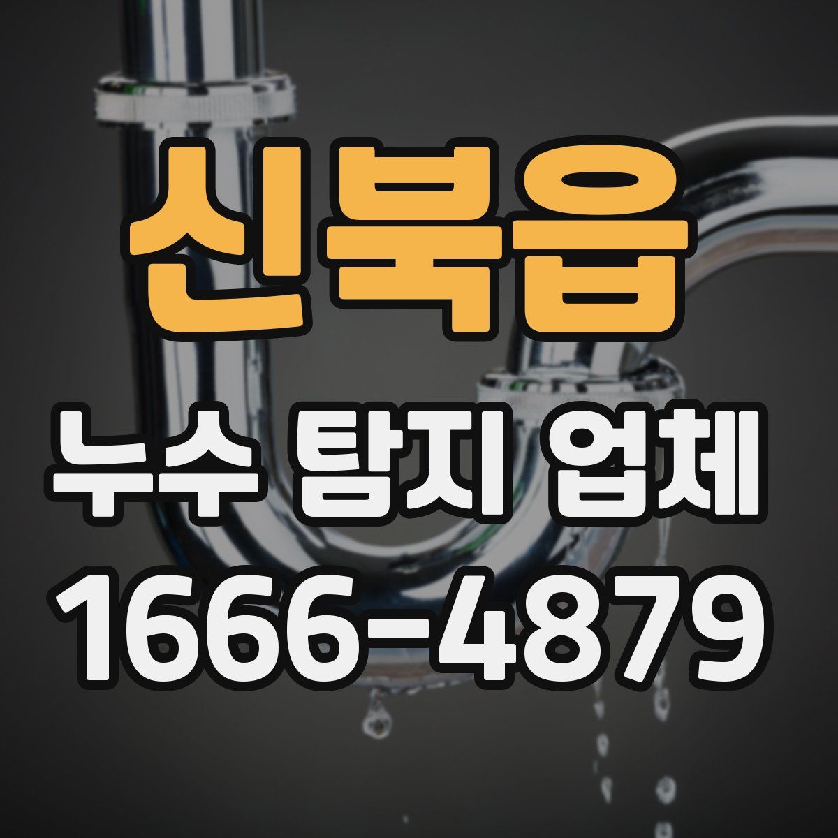 신북읍 누수 탐지 업체