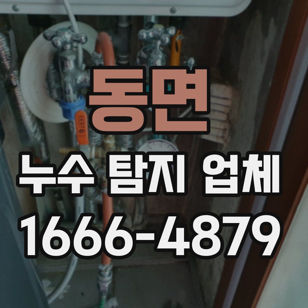 동면 누수 탐지 업체