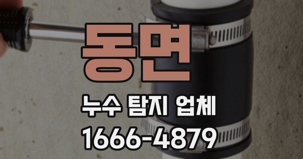동면 누수 탐지 업체