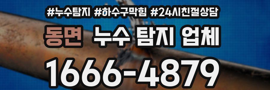 동면 누수 탐지 업체