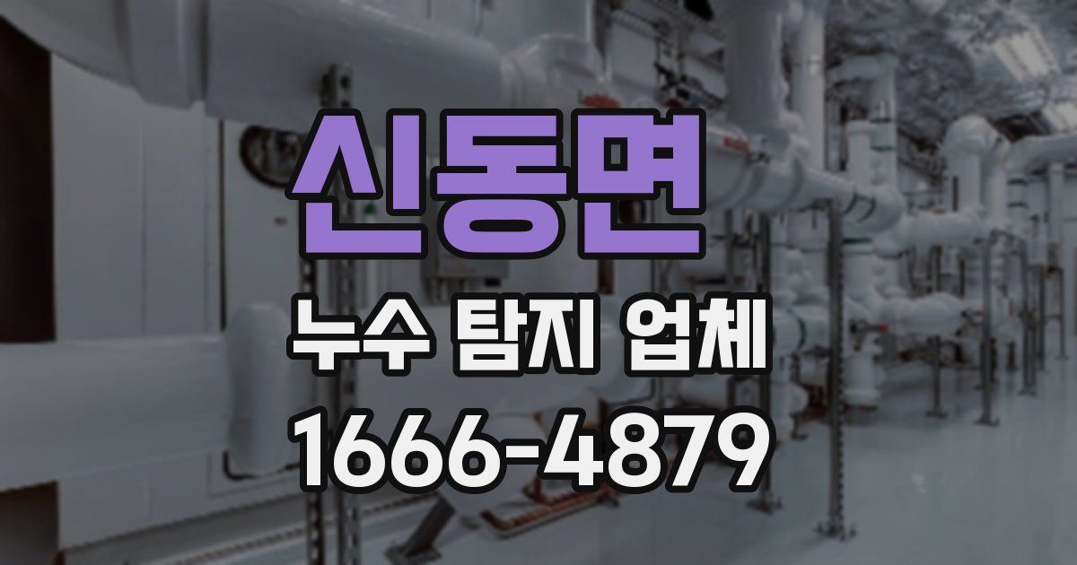신동면 누수 탐지 업체