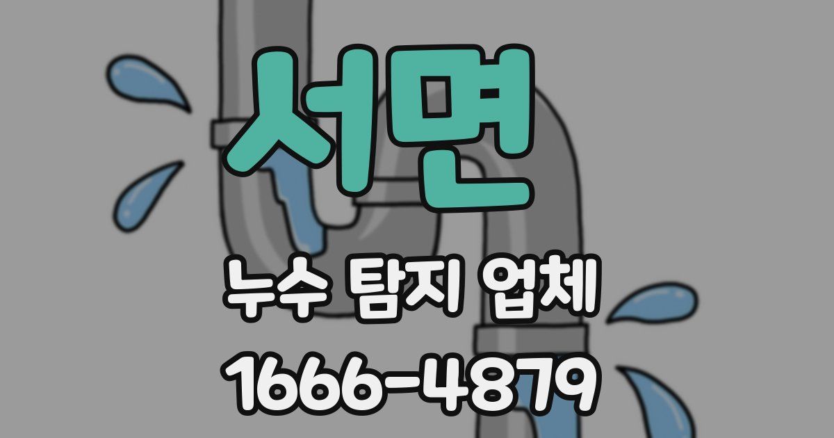 서면 누수 탐지 업체