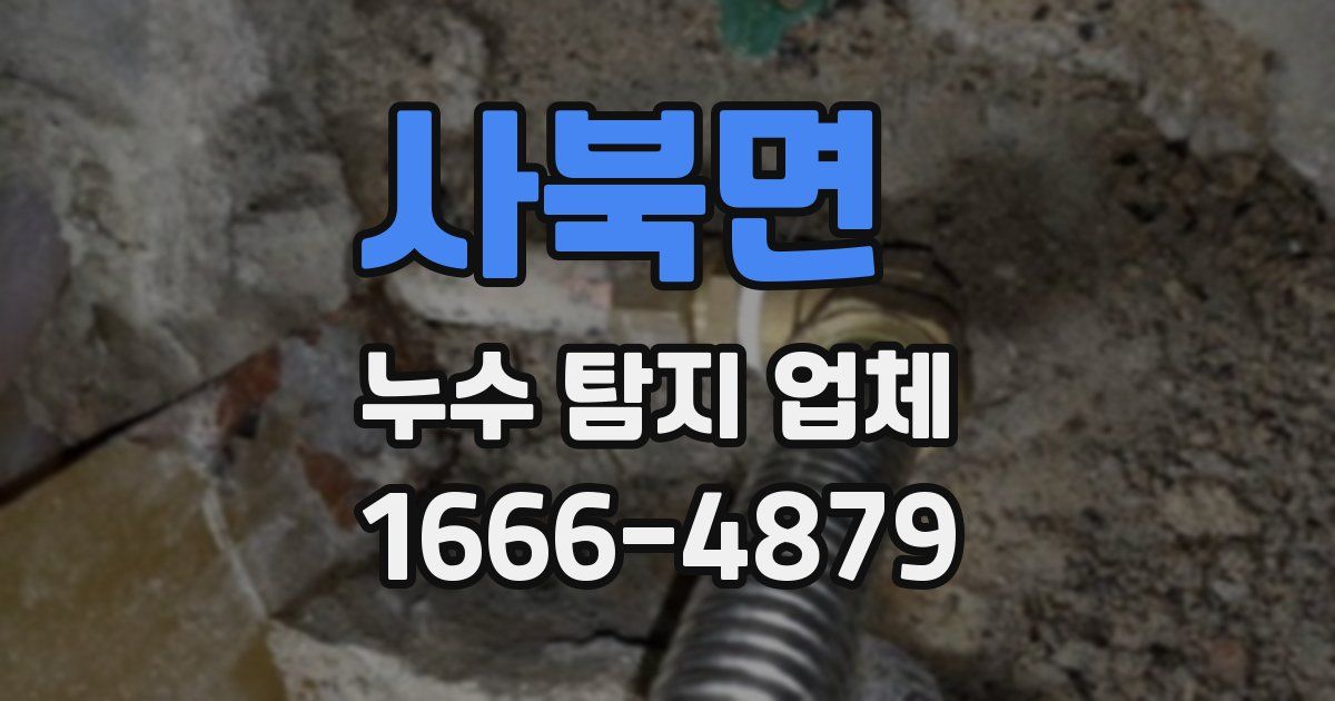 사북면 누수 탐지 업체