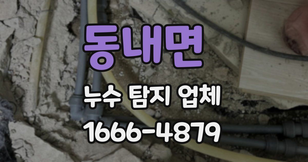 동내면 누수 탐지 업체