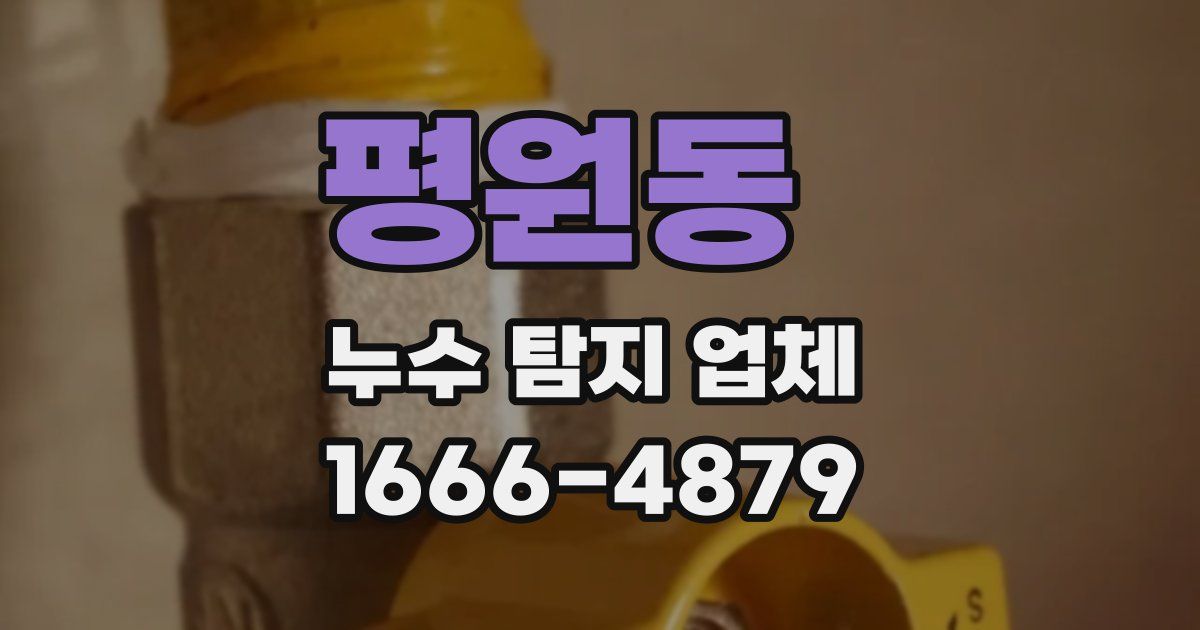 평원동 누수 탐지 업체