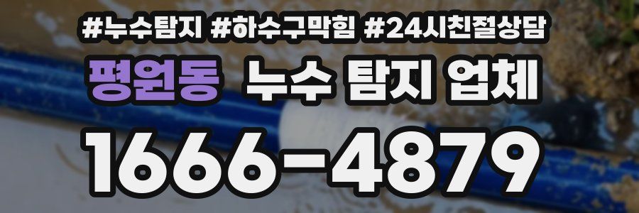 평원동 누수 탐지 업체