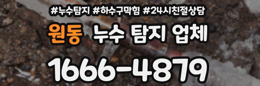 원동 누수 탐지 업체