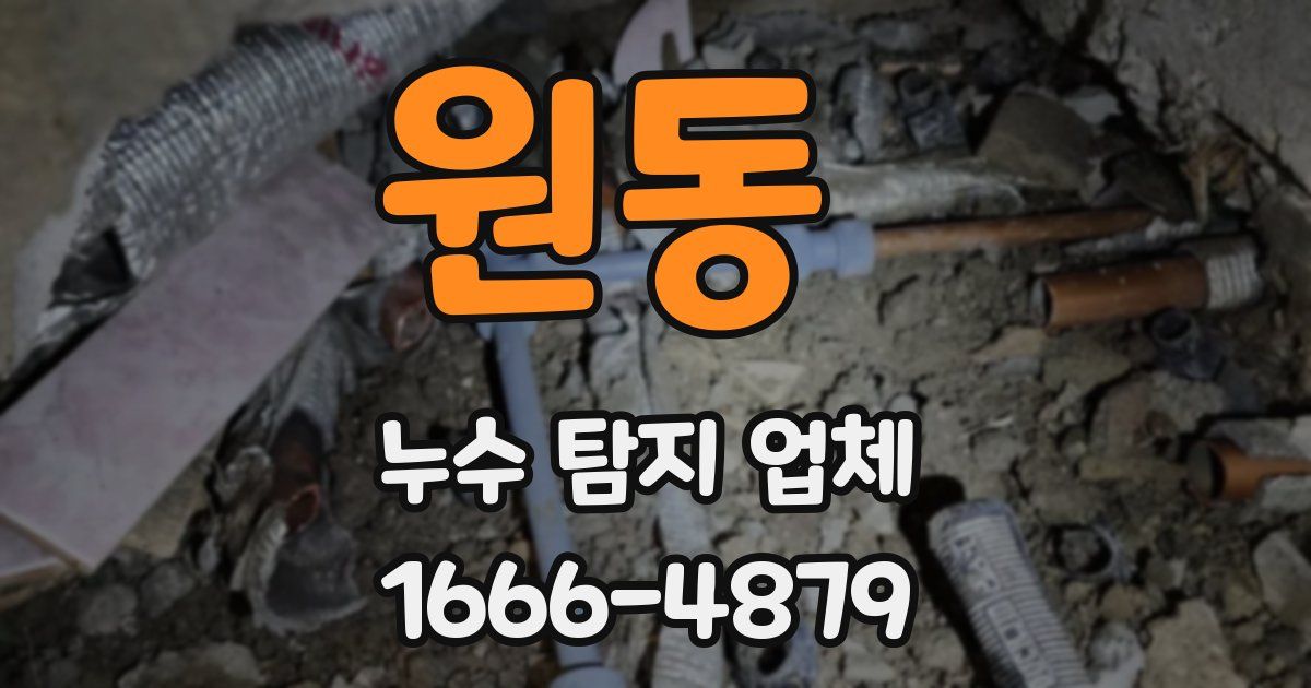 원동 누수 탐지 업체