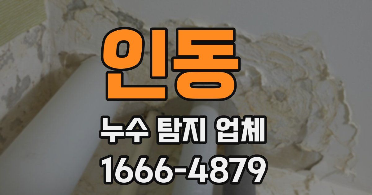 인동 누수 탐지 업체